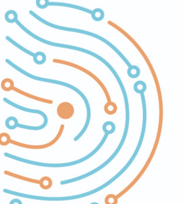DiSEC Solutions Logo